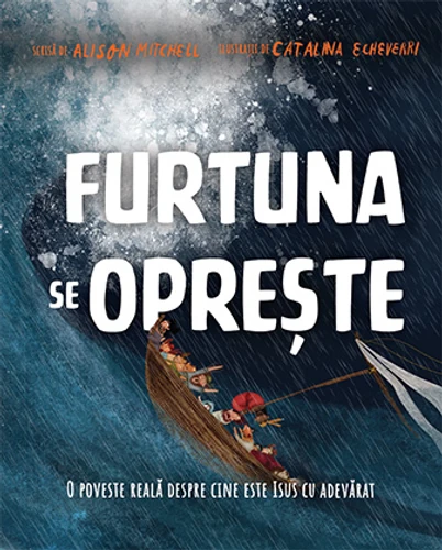 The Storm That Stopped Storybook (Romanian)