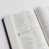 NIV Larger Print Personal Velvet Bible