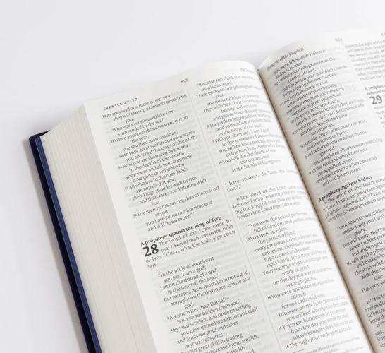 NIV Larger Print Personal Velvet Bible