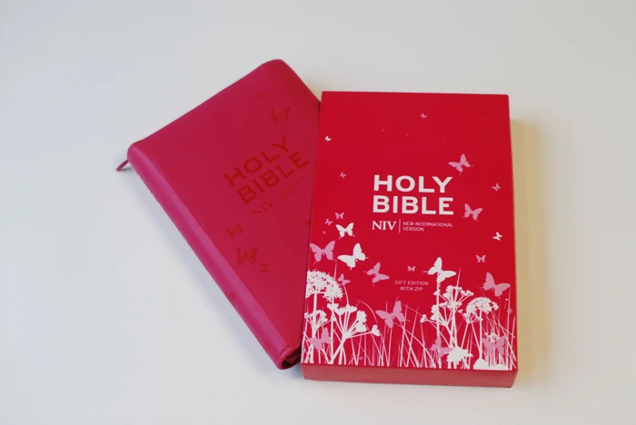 Pink Zip-up Bible (NIV)