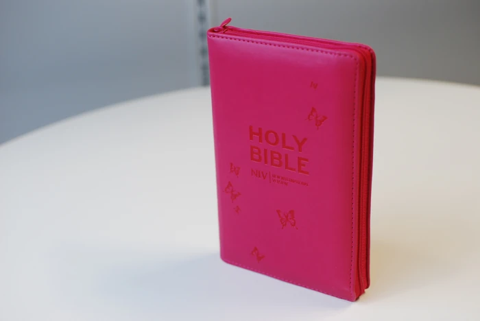 Pink Zip-up Bible (NIV)