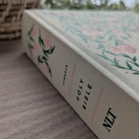 NLT Reflections Bible, Artist’s Edition (Hardcover Cloth)