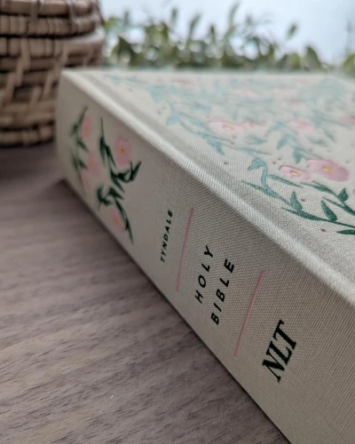 NLT Reflections Bible, Artist’s Edition (Hardcover Cloth)
