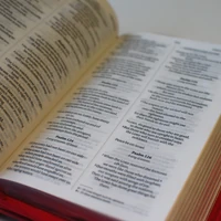 Pink Zip-up Bible (NIV)