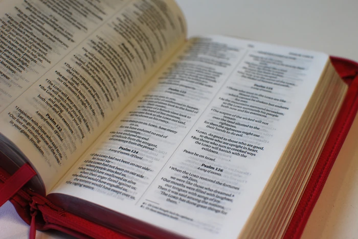 Pink Zip-up Bible (NIV)