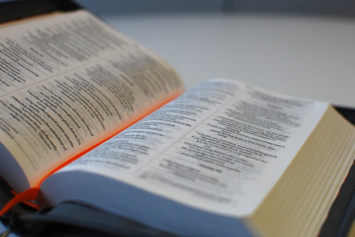 Slate Zip-up Bible (NIV)