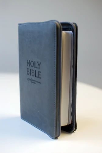 Slate Zip-up Bible (NIV)