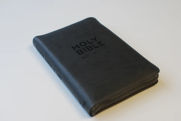 Slate Zip-up Bible (NIV)