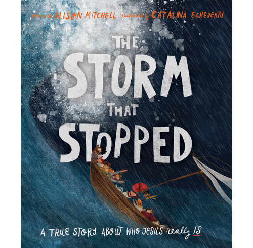 The Storm That Stopped Storybook (ebook)