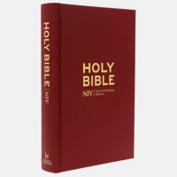NIV Popular Burgundy Hardback Bible