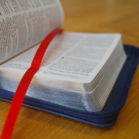 NIV Tiny Navy Soft-tone Bible with Zip