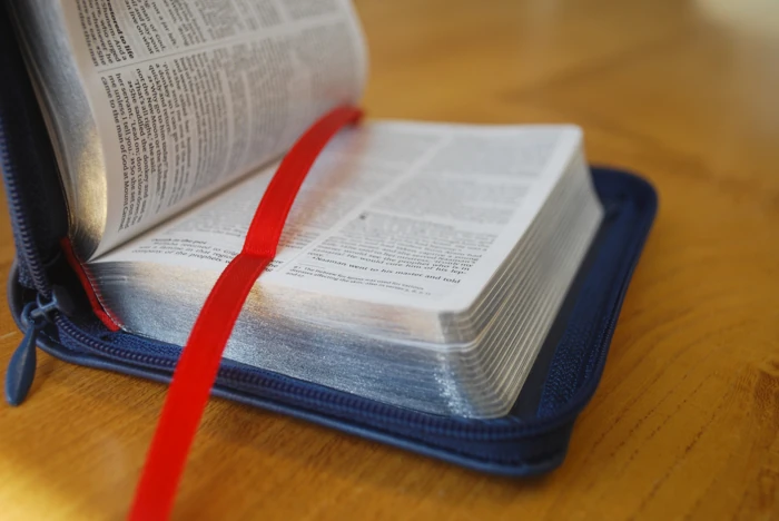 NIV Tiny Navy Soft-tone Bible with Zip