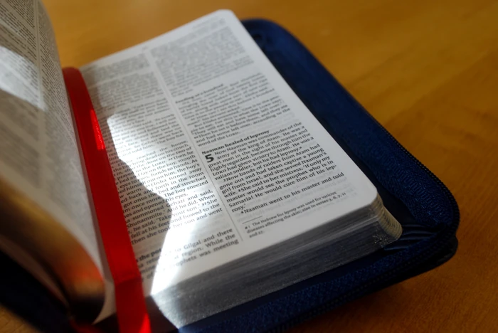 NIV Tiny Navy Soft-tone Bible with Zip
