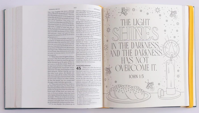 NIV Illuminated Bible