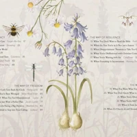 The Way of the Wildflower