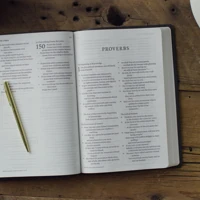ESV Giant Print Value Thinline Bible