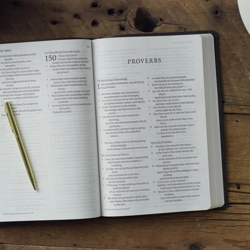 ESV Giant Print Value Thinline Bible
