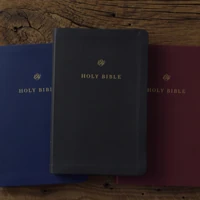 ESV Gift and Award Bible (TruTone®, Black)