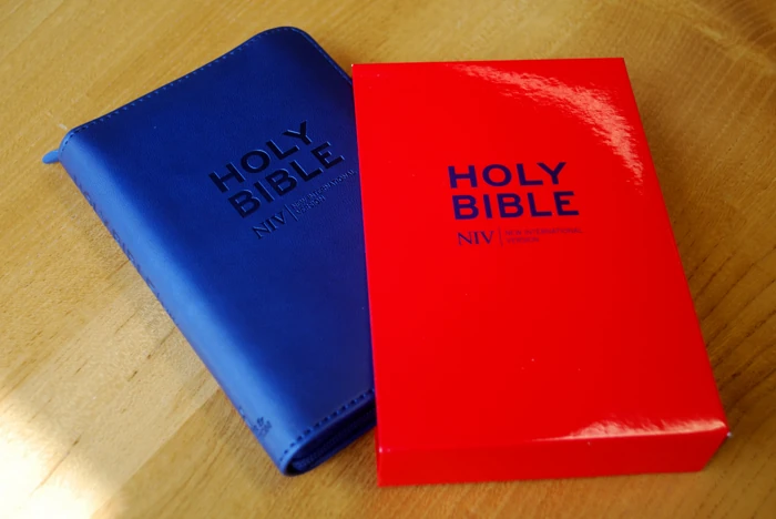 NIV Tiny Navy Soft-tone Bible with Zip