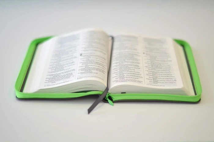 NIV Popular Soft-Tone Bible with Zip