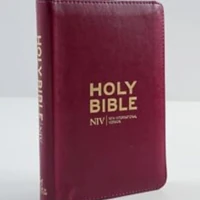 NIV Pocket Mulberry Bible with Gold Zip
