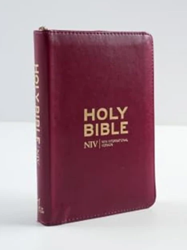 NIV Pocket Mulberry Bible with Gold Zip