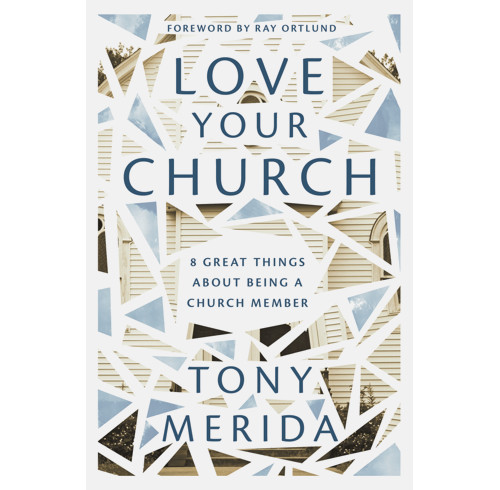 Love Your Church (ebook)