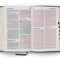 ESV Giant Print Personal Size Bible, Red Letter, Thumb Indexed
