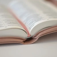 NIV Pocket Rose Gold Soft-Tone Bible with Zip