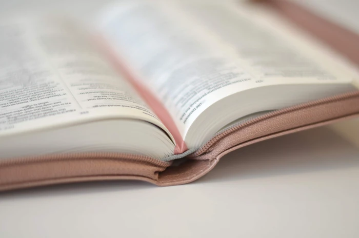 NIV Pocket Rose Gold Soft-Tone Bible with Zip