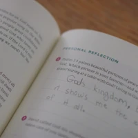 The Biggest Story Curriculum, Student Workbook