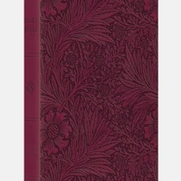 ESV Large Print Value Thinline Bible