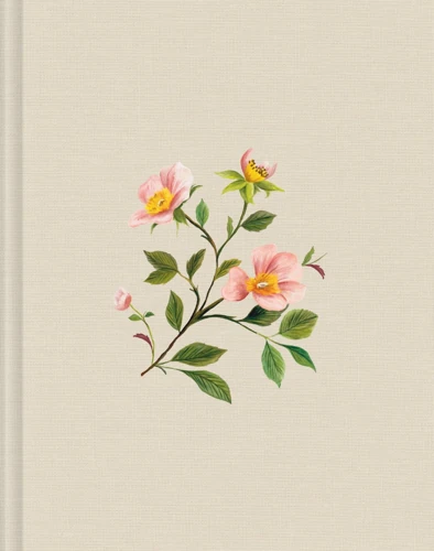 ESV Single Column Journaling Bible®