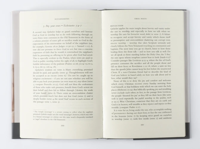 The Hodder Bible Commentary: Ecclesiastes