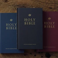 ESV Church Bible, Large Print