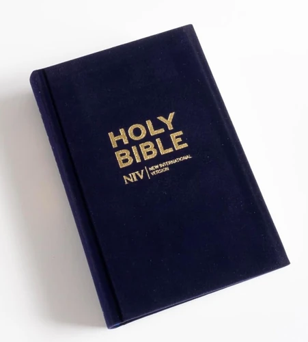 NIV Larger Print Personal Velvet Bible