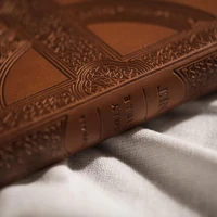 NLT Large Print Premium Value Thinline Bible, Filament Enabled