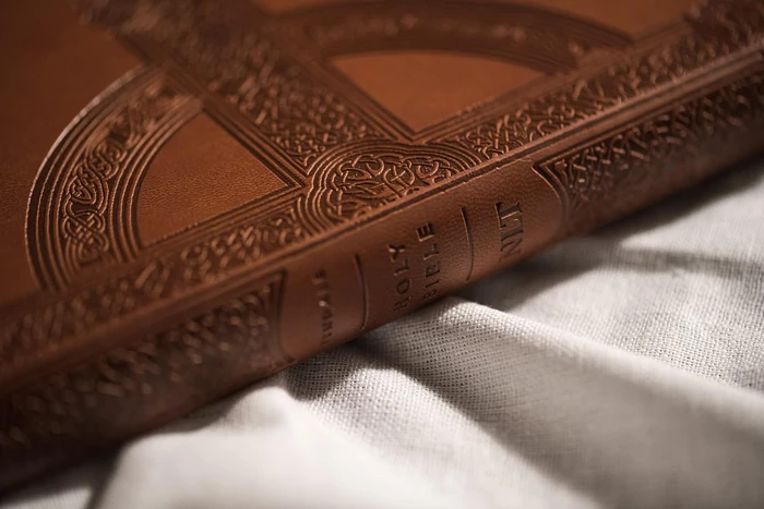 NLT Large Print Premium Value Thinline Bible, Filament Enabled