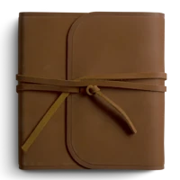 ESV Journaling Bible (Natural Leather, Brown, Flap with Strap)