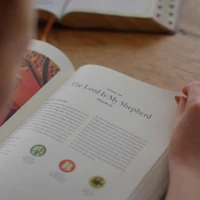 The Biggest Story Curriculum, Student Workbook