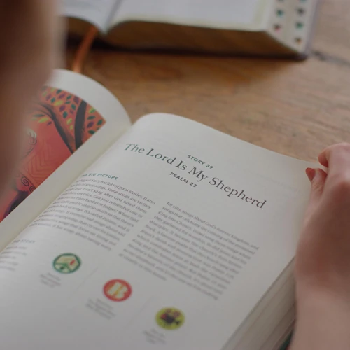 The Biggest Story Curriculum, Student Workbook