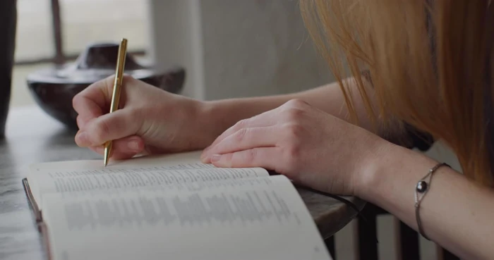 ESV Journaling Bible (Natural Leather, Brown, Flap with Strap)
