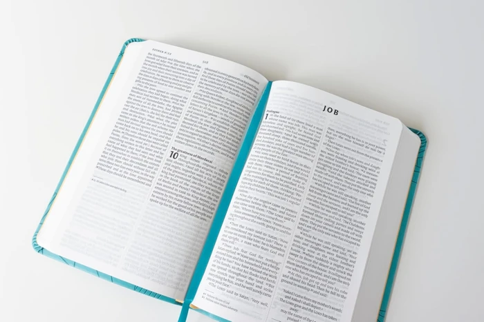 NIV Larger Print Personal Teal Soft-Tone Bible