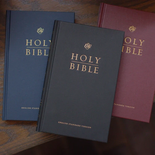 ESV Church Bible
