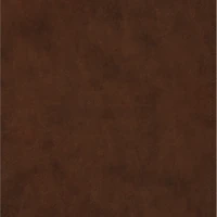 ESV Holy Bible: Dyslexia-Friendly Edition, TruTone Brown