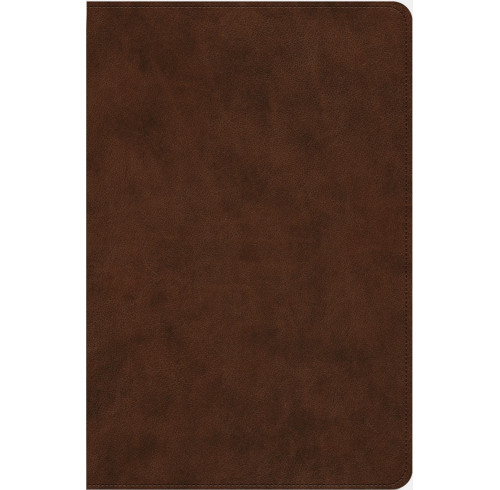 ESV Holy Bible: Dyslexia-Friendly Edition, TruTone Brown