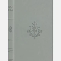 ESV Large Print Value Thinline Bible (River Stone)
