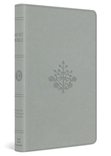 ESV Large Print Value Thinline Bible (River Stone)