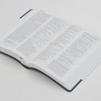NLT Holy Bible (Blue)