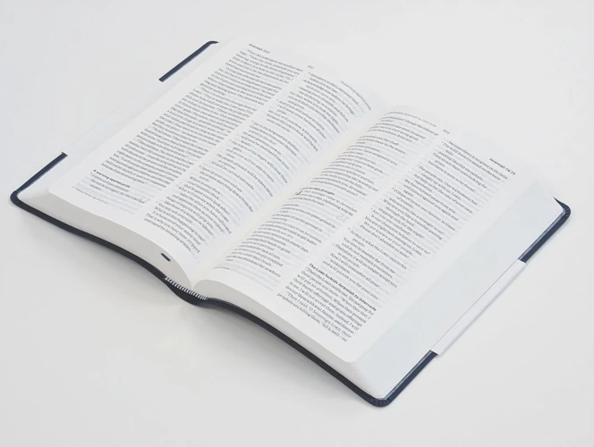NLT Holy Bible (Blue)